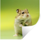 Muurstickers - Sticker Folie - Close-up van een hamster tegen een groene achtergrond - 30x30 cm - Plakfolie - Muurstickers Kinderkamer - Zelfklevend Behang - Zelfklevend behangpapier - Stickerfolie