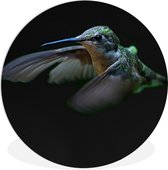 WallCircle - Wandcirkel ⌀ 30 - Kolibrie - Vogel - Veren - Zwart - Ronde schilderijen woonkamer - Wandbord rond - Muurdecoratie cirkel - Kamer decoratie binnen - Wanddecoratie muurcirkel - Woonaccessoires