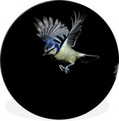 WallCircle - Wandcirkel - Muurcirkel - Vogels - Veren - Zwart - Aluminium - Dibond - ⌀ 140 cm - Binnen en Buiten