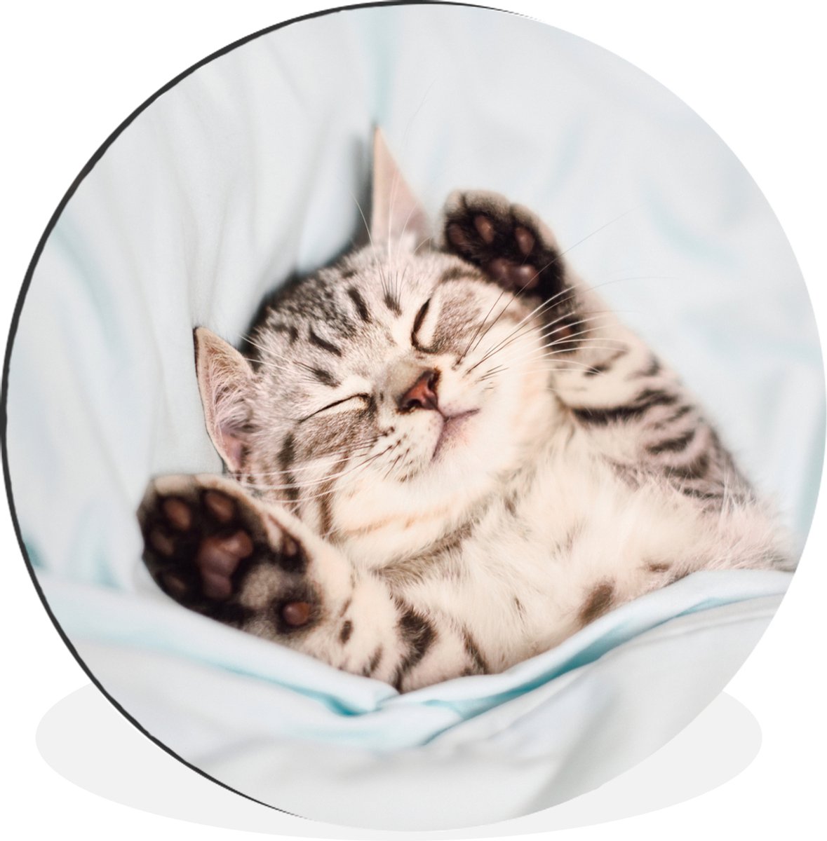 WallCircle - Wandcirkel - Muurcirkel - Kitten - Grappig - Bed - Kinderen - Jongens - Meisj