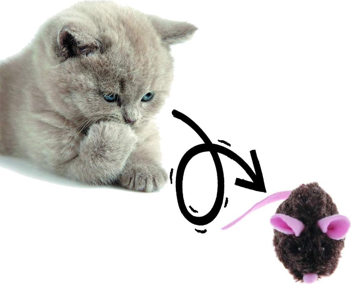 Pet Shop | De leukste interactieve kattenspeeltjes