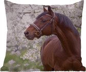 Buitenkussen Weerbestendig - Paard - Sakura - Halster - 50x50 cm