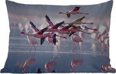 Buitenkussens - Flamingo - Vogel - Water - Roze - 60x40 cm - Weerbestendig