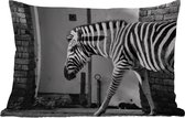 Buitenkussens - Tuin - Zebra - Muur - Deur - Dieren - Zwart wit - 50x30 cm