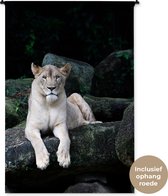 Tapisserie Lions - Portrait de lionne Tapisserie coton 120x180 cm - Tapisserie avec photo XXL / Groot format !