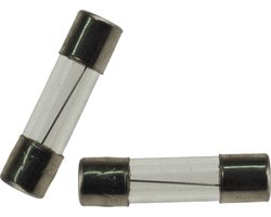 UNIVERSEEL - GLASZEKERING TRAAG 1.25 A (per 10st) -