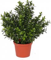 Groene Buxus kunstplanten in pot 31 cm - Kantoor/huiskamer nep/namaak planten