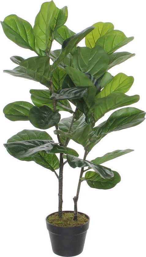 Bellatio flowers & plants Kunstplant Ficus Lyrata - groen - 100 cm