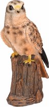 Dieren decoratie beeldjes torenvalk roofvogel van 22 cm