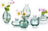 Kleine vazen voor tafeldecoratie van Hewory, 6 stuks vaas, glas, mini-vazen, moderne glazen vaas, groen, kleine bloemenvazen voor bruiloftsdecoratie, tafel, woonkamerdecoratie