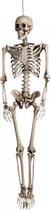 Boland - Decoratie Skelet - 160cm