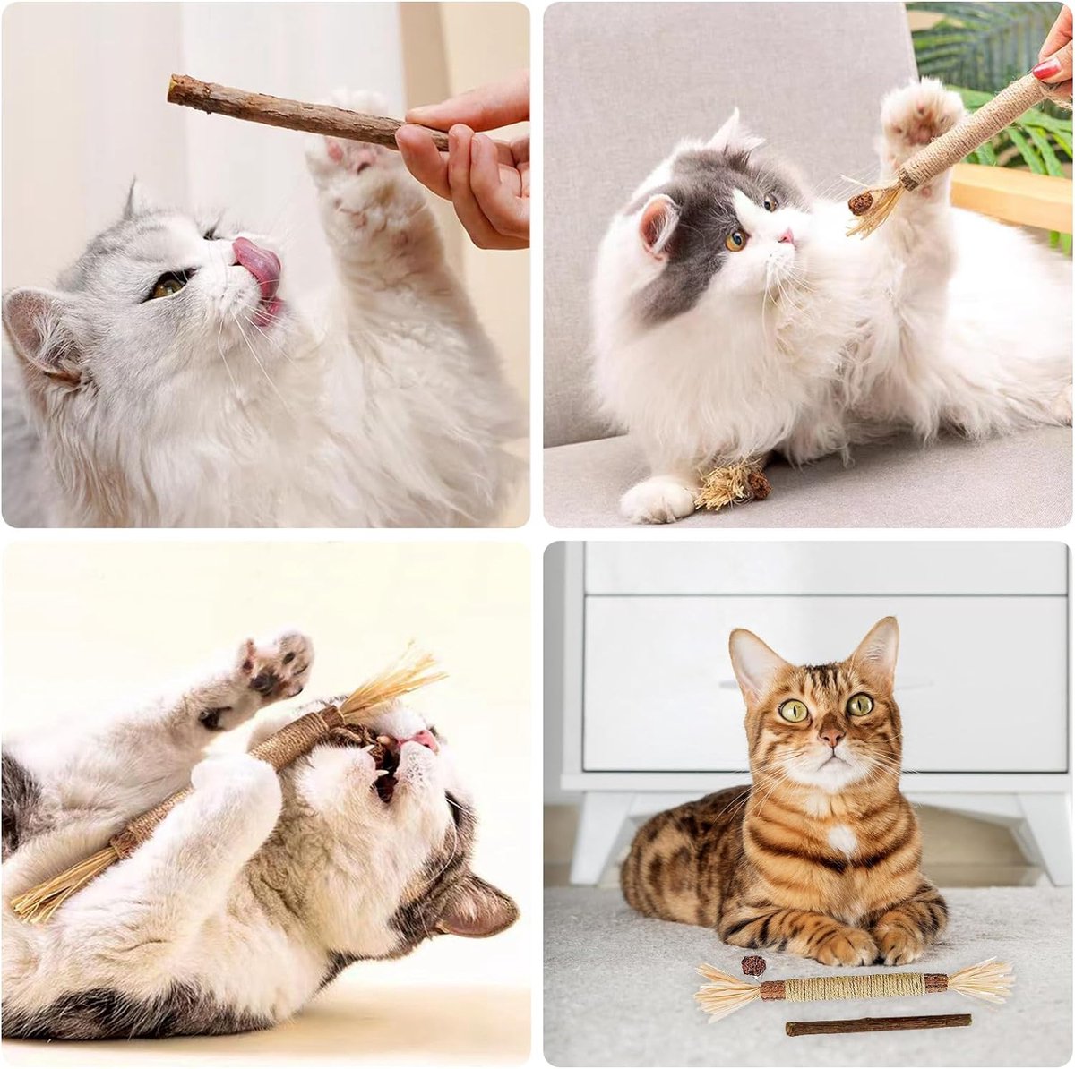 Kattenkauwsticks 5 Stuks - Natuurlijke Kattentandreiniging & Speelgoed - Stressverlichting Voor Katten