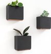 Wandplantenbakken -Alma- | 3 moderne hangende plantenpotten van hars