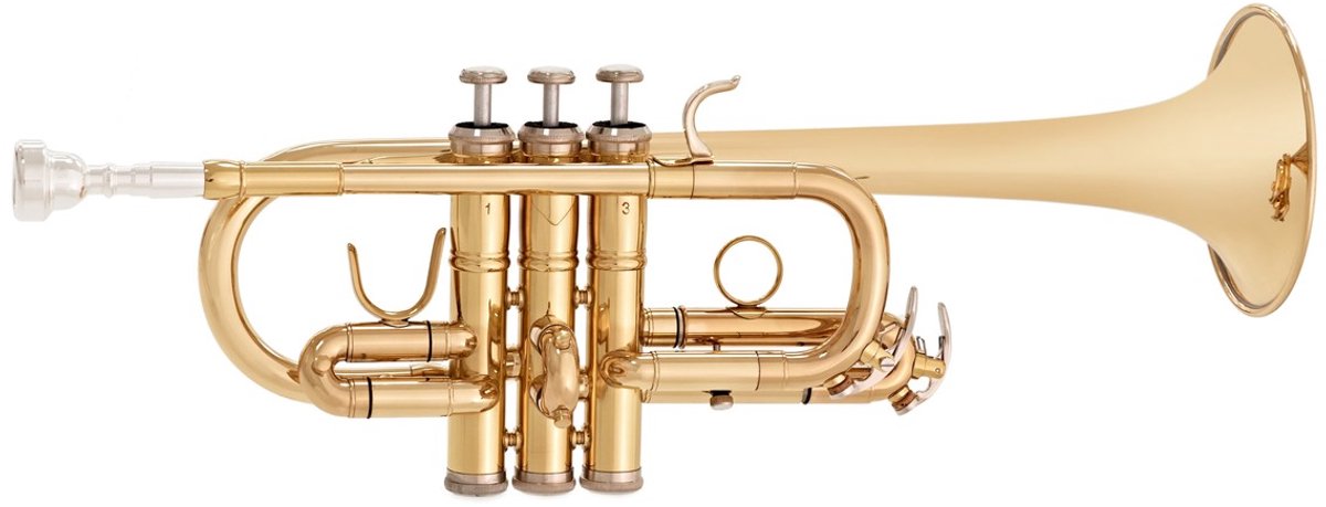 Coppergate D/Eb Trompet van Gear4music
