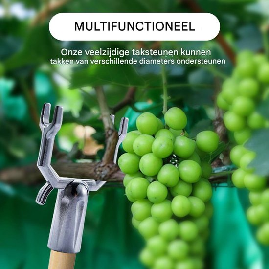 Dussdote Boomstandaard - 8 stuks - Metalen takklemmen - Voor fruitbomen - Boompalen - Plantenstandaard - Voor het ondersteunen van fruitboomtakken, boomgaarden van Merkloos	 — afbeelding 5