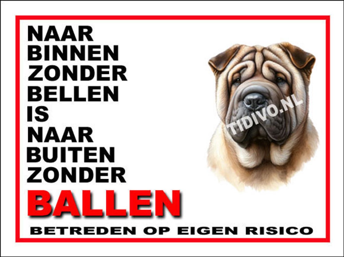 Shar-Pei 11