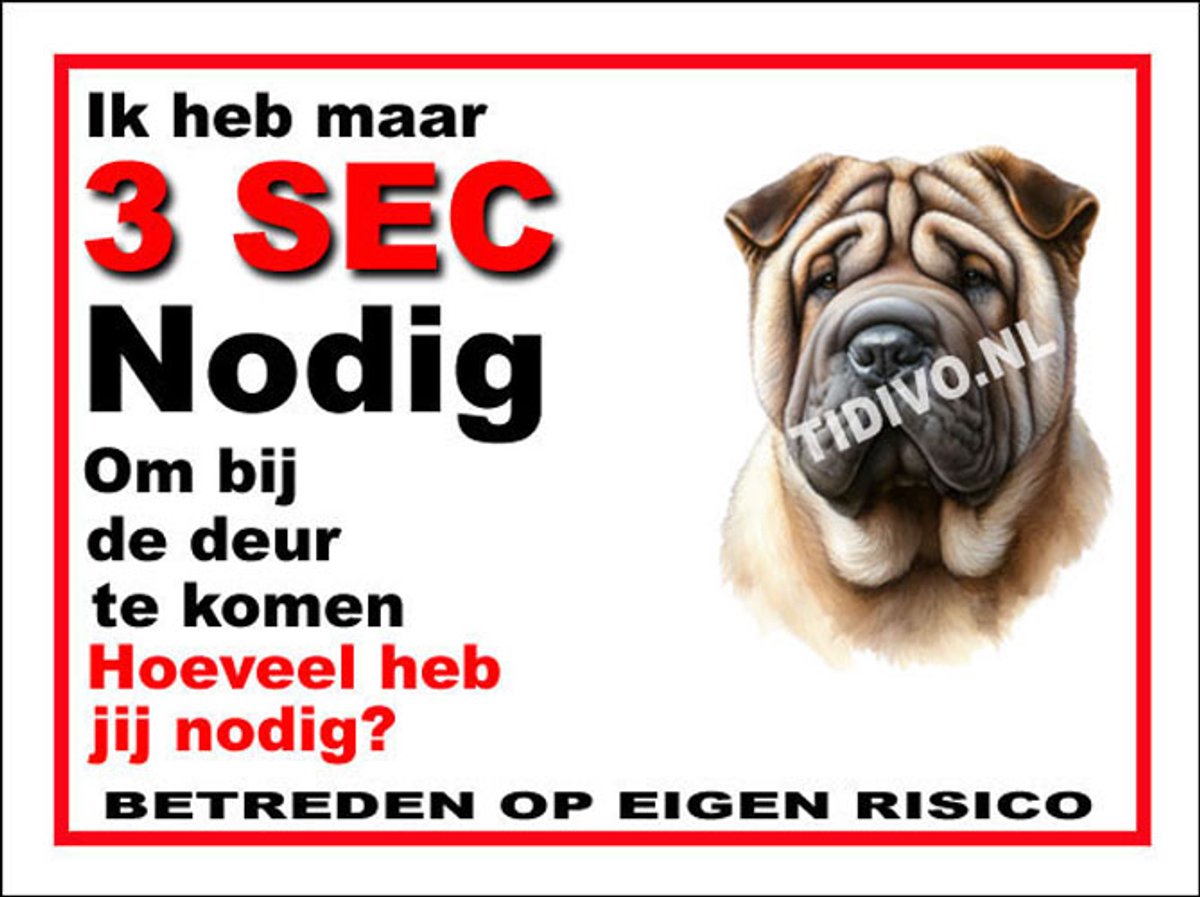 Shar-Pei 6