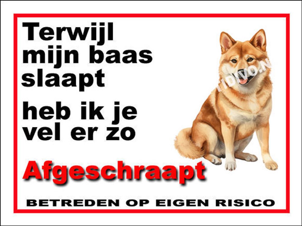 Shiba 15