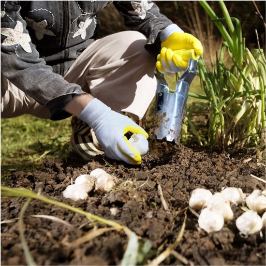 Thuys – Bulb Planter Tool – Lange Steel Bulb Planter Set – Met Kleine Bollenplanter – Zaagtand Boltransplantator – Voor Snel Graven — afbeelding 2
