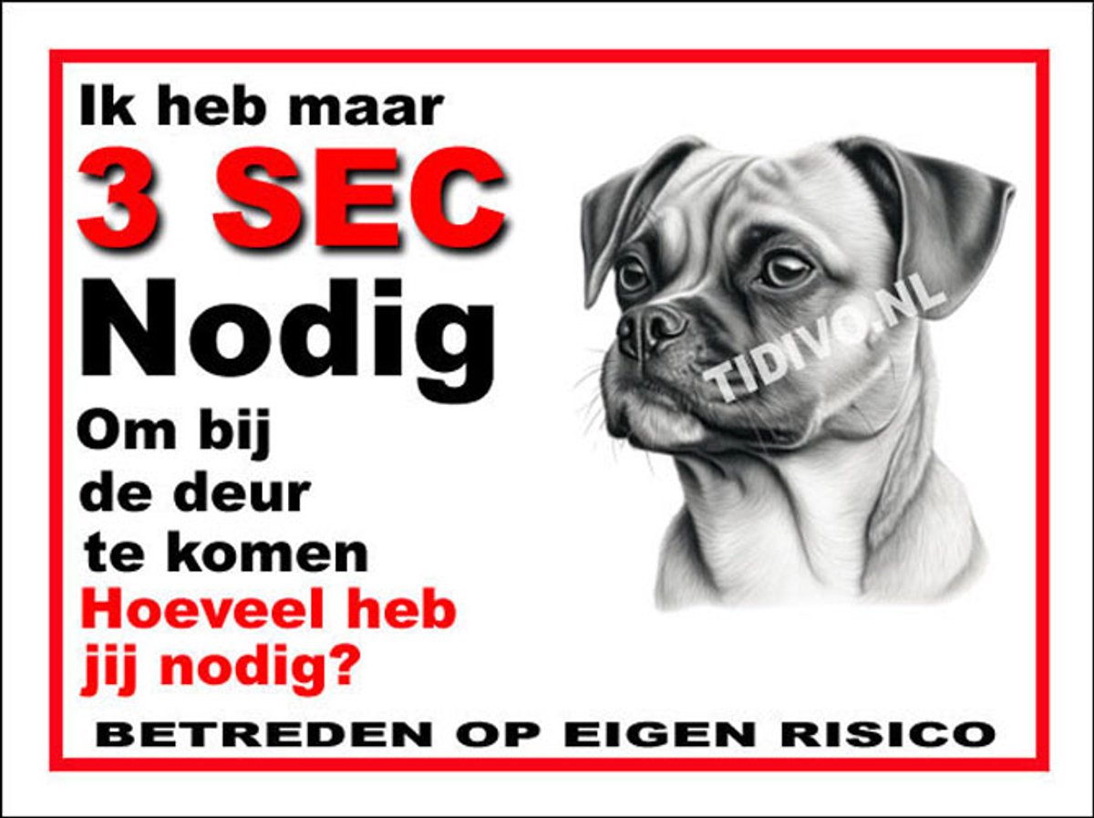 Puggle 6