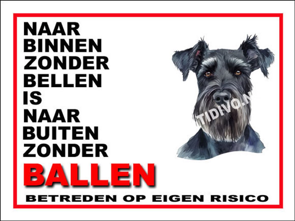 Schnauzer Giant 11