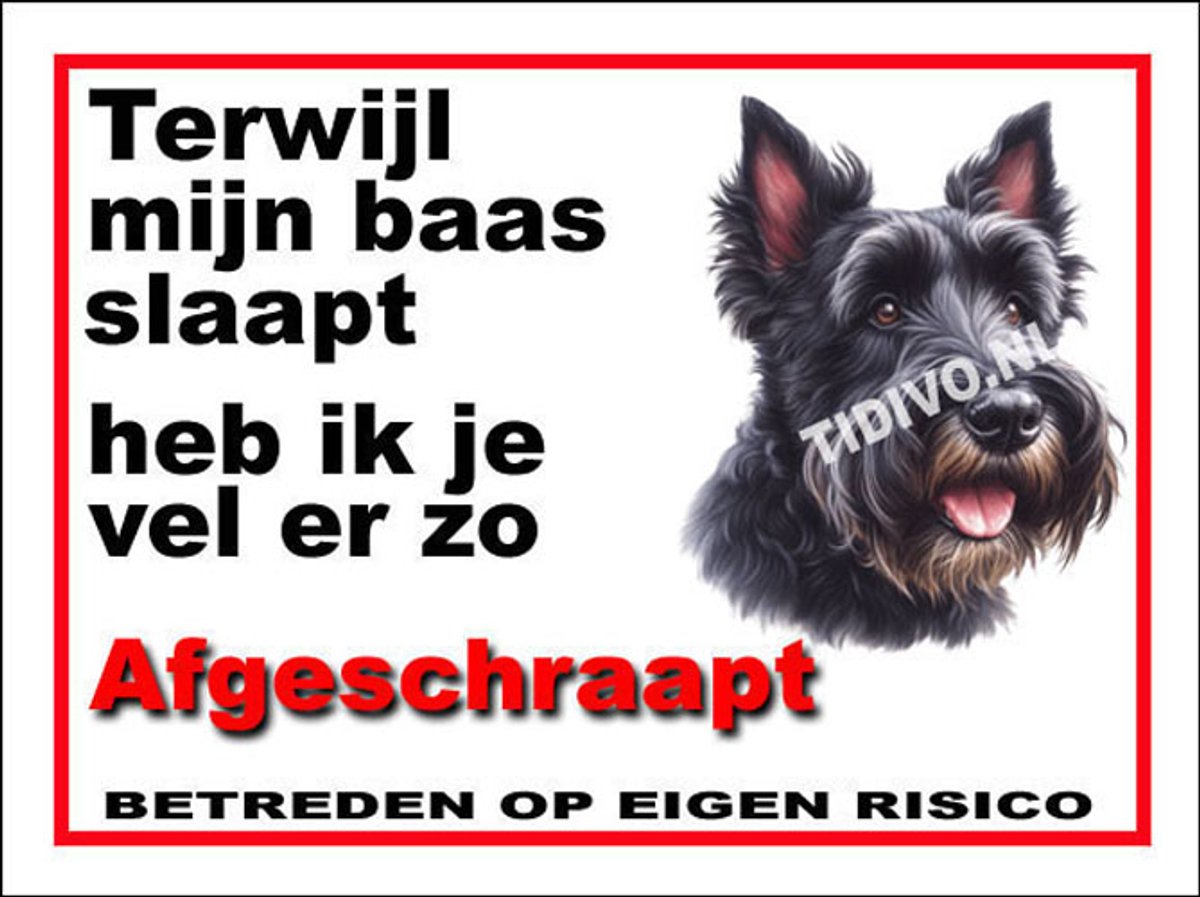 Schotsche Terrier 15