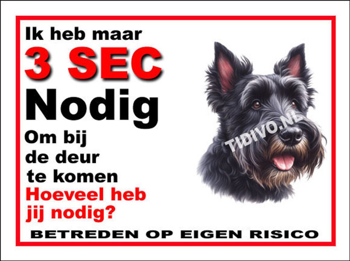 Schotsche Terrier 6