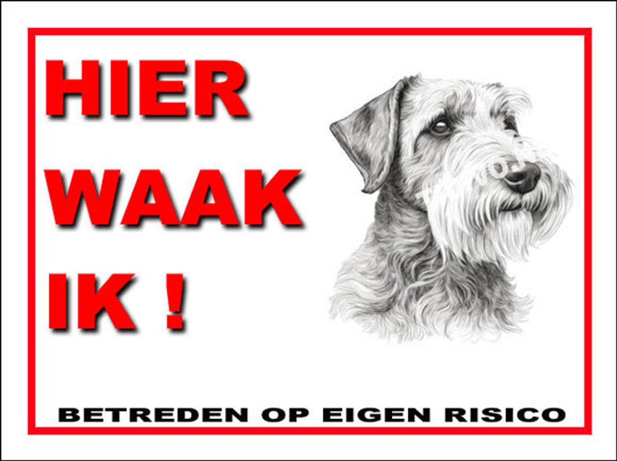 Sealyham Terrier 3