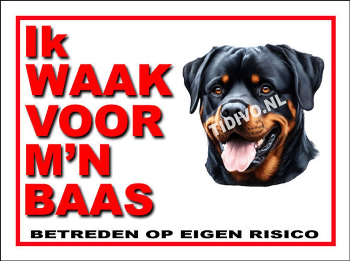 Rottweiler 9