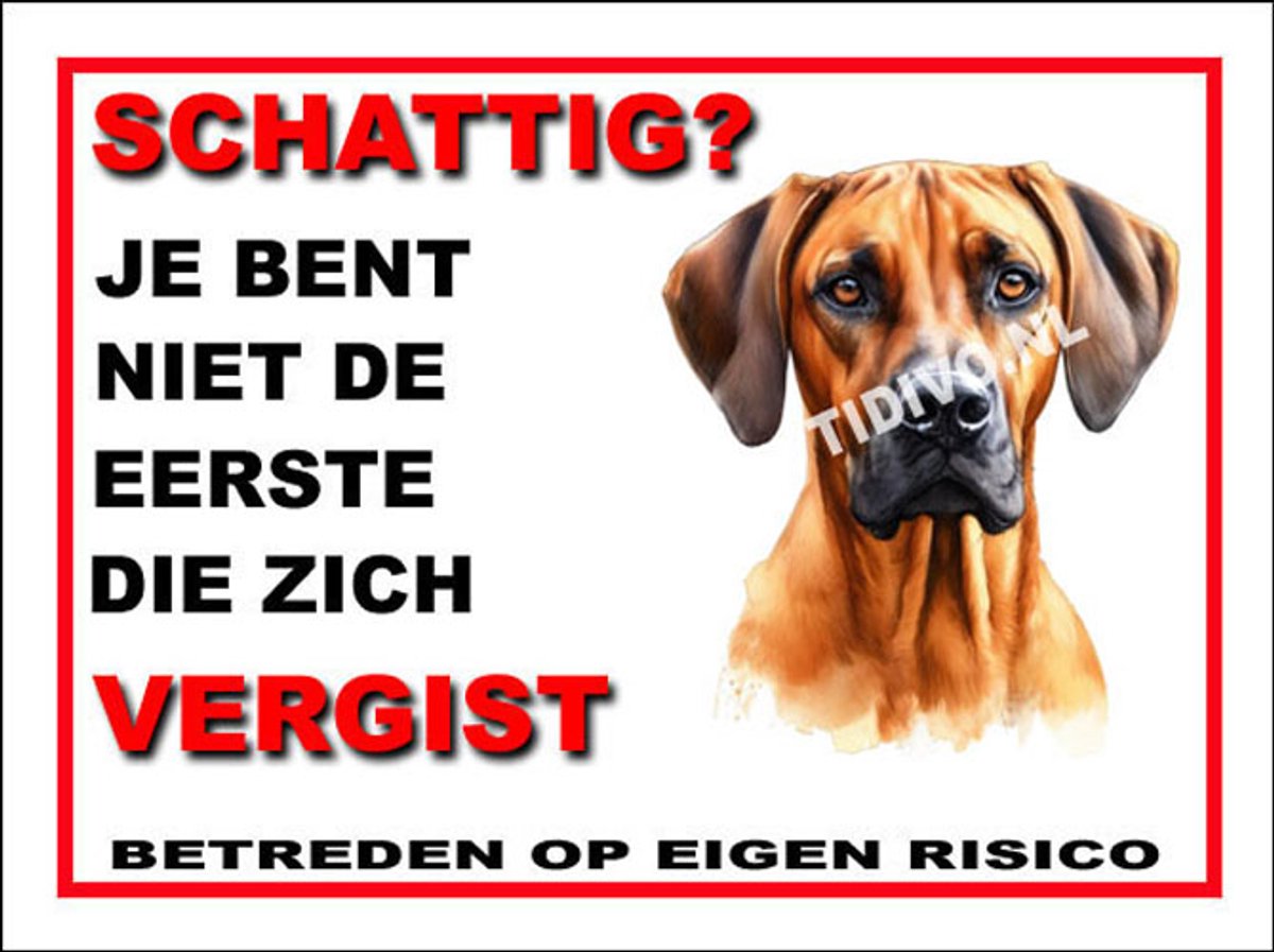 Rhodesian Ridgeback 14