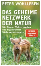 E-book