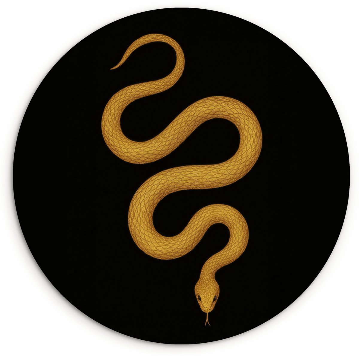 WallCircle Wandcirkel 30x30 cm - Muurcirkel Slang - Minimalistisch - Goud - Muurdecoratie woonkamer - Wanddecoratie slaapkamer - Kamer decoratie accessoires - Ronde schilderijen