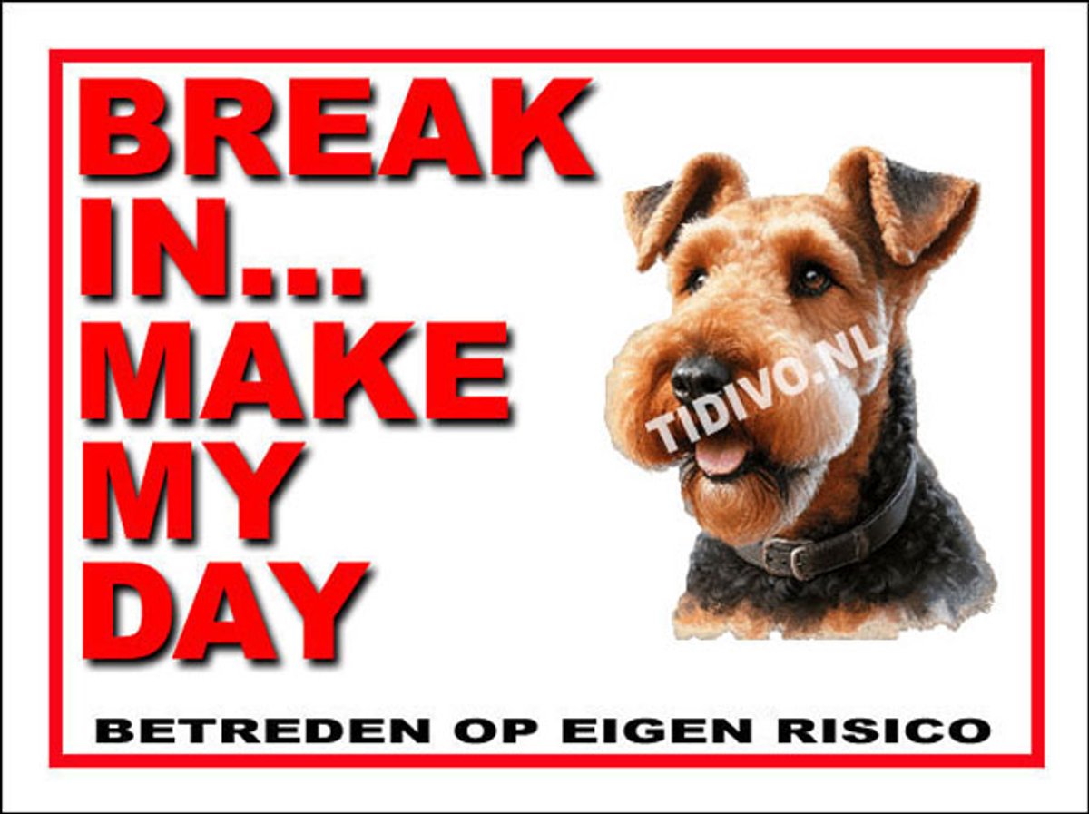 Airedale Terrier 1