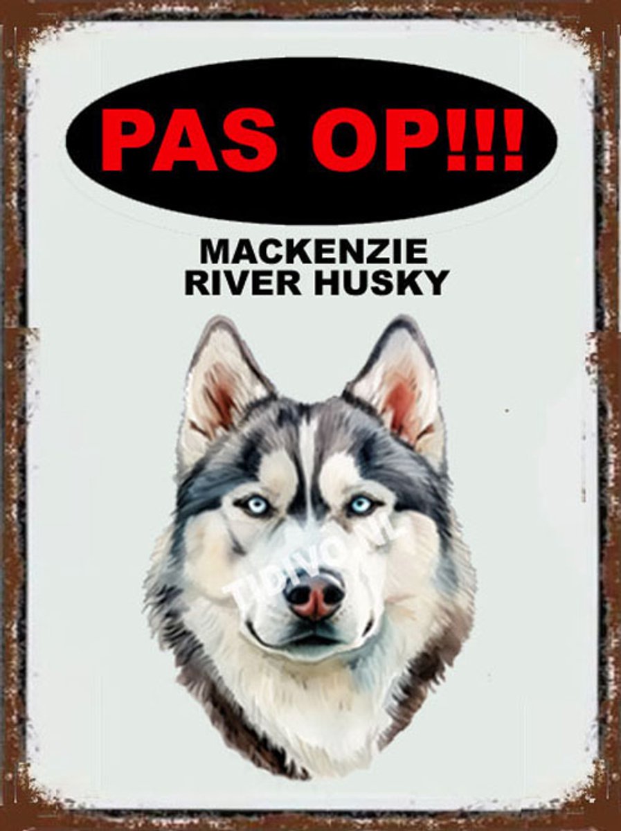 Mackenzie River Husky 17