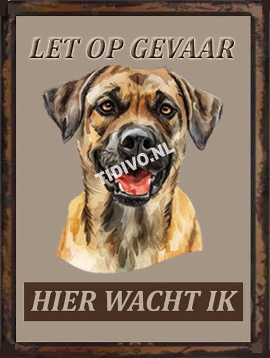Magyar Agár 18