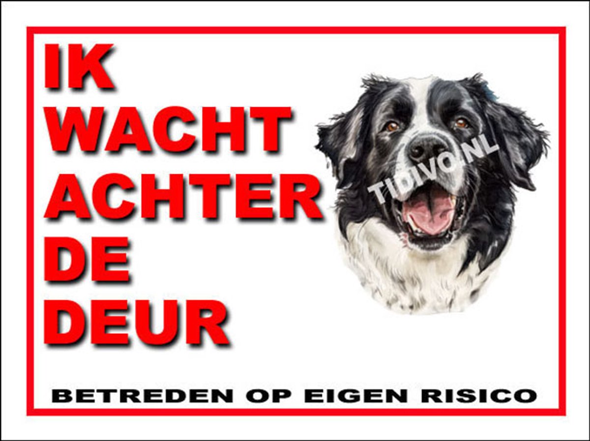 Landseer ECT 10