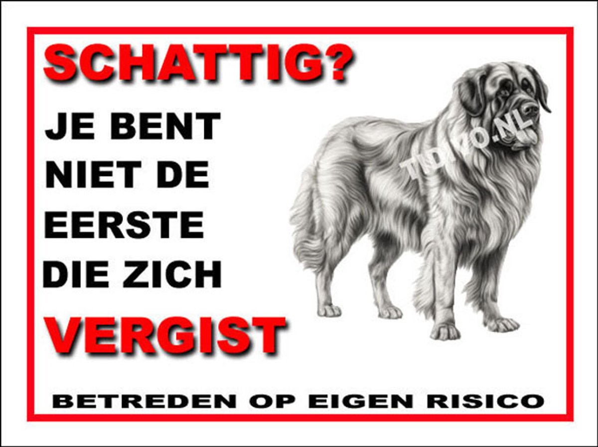 Leonberger 14
