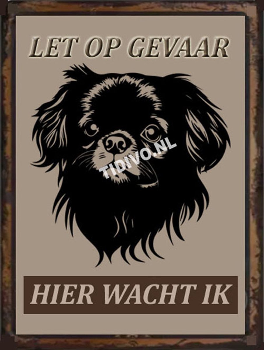 Tibetaanse Spaniel 18