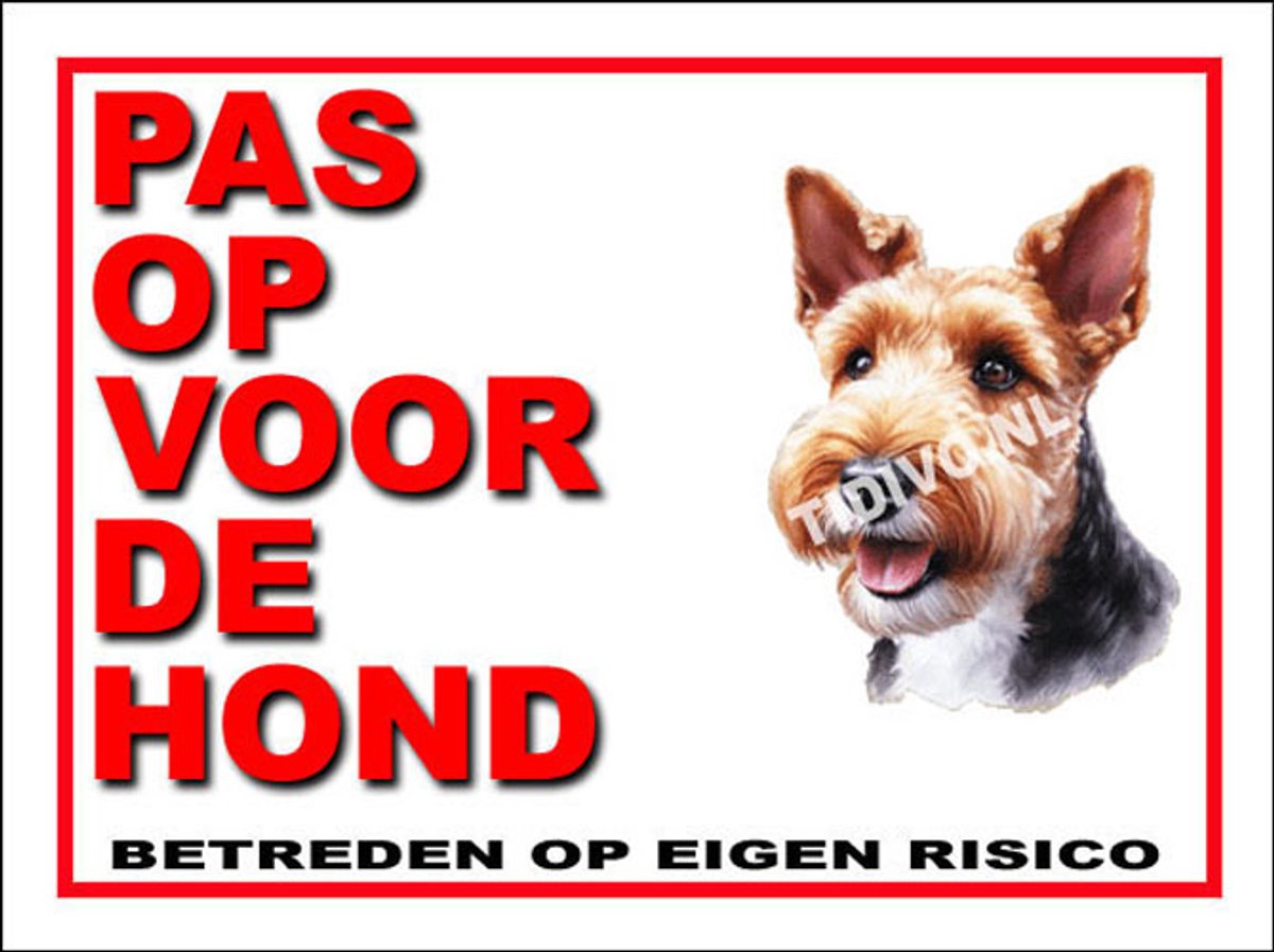 Welsh Terrier 13