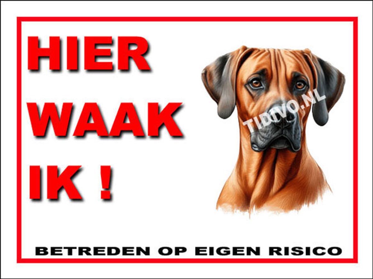 Weimaraner Rhodesian Ridgeback 3