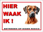 Rhodesian Ridgeback Züchter und Welpen in Kleve