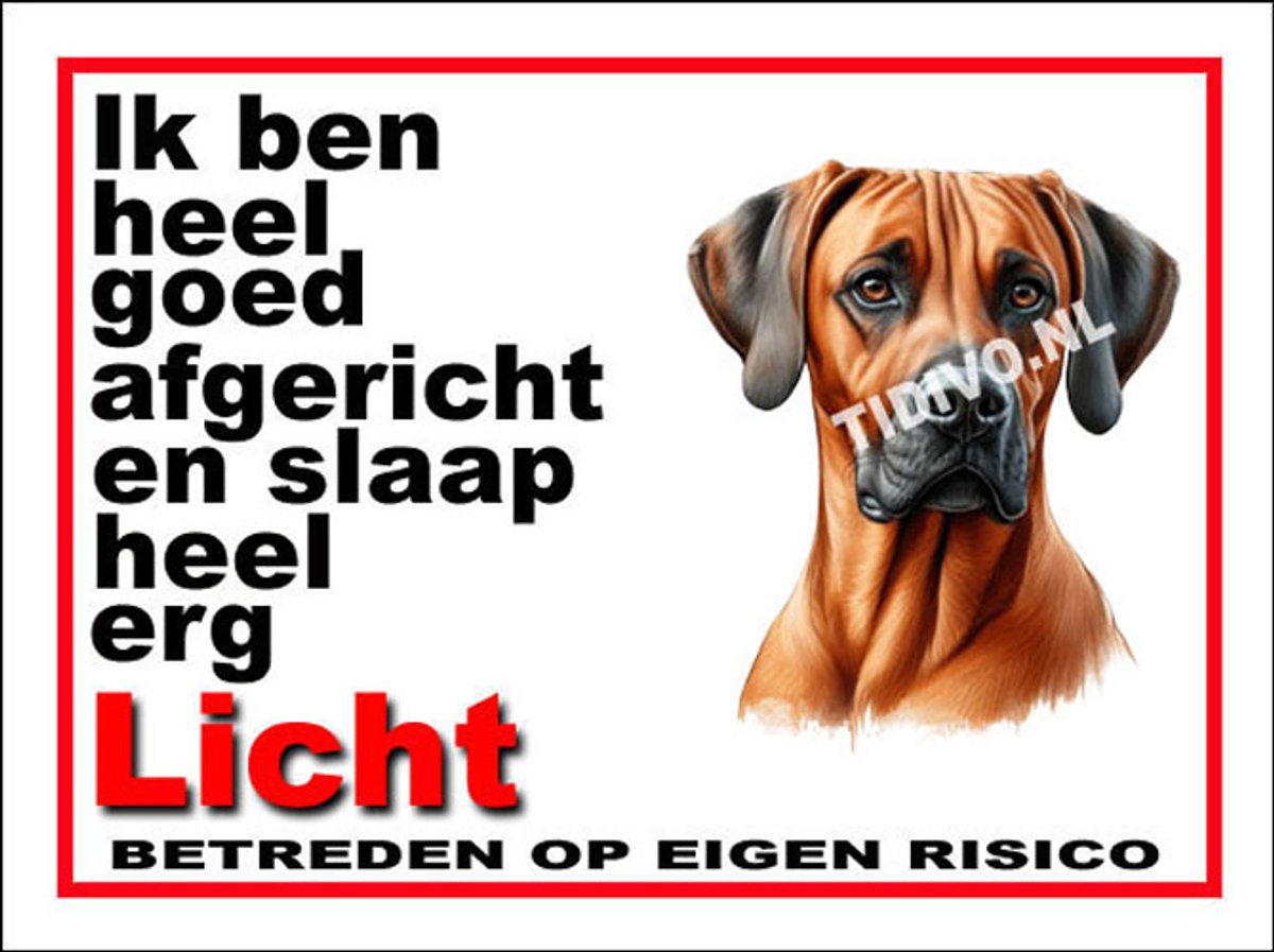 Weimaraner Rhodesian Ridgeback 4