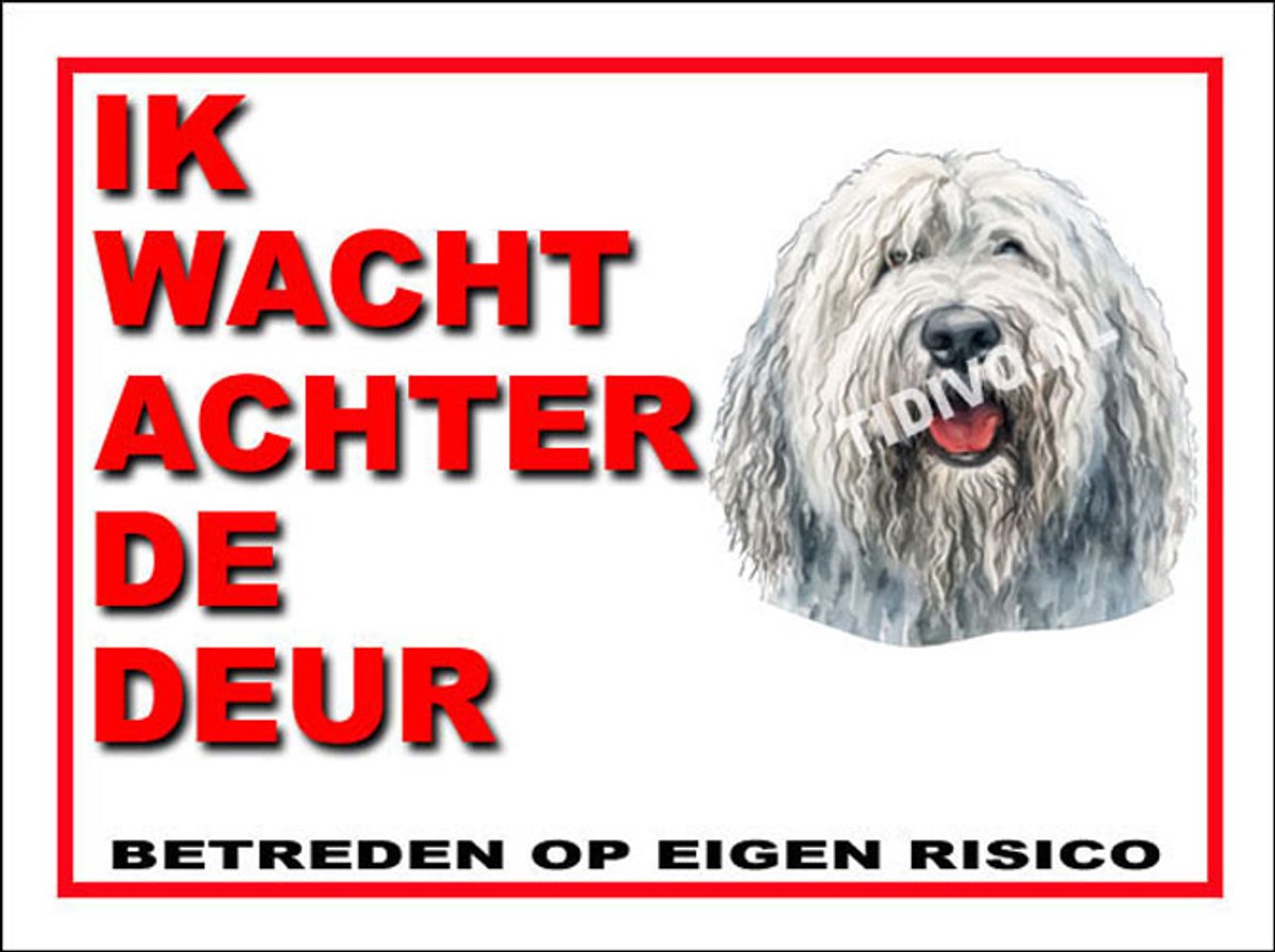 Komondor 10