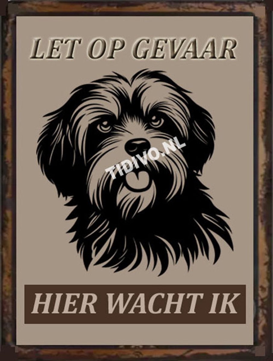 Havanezer 18