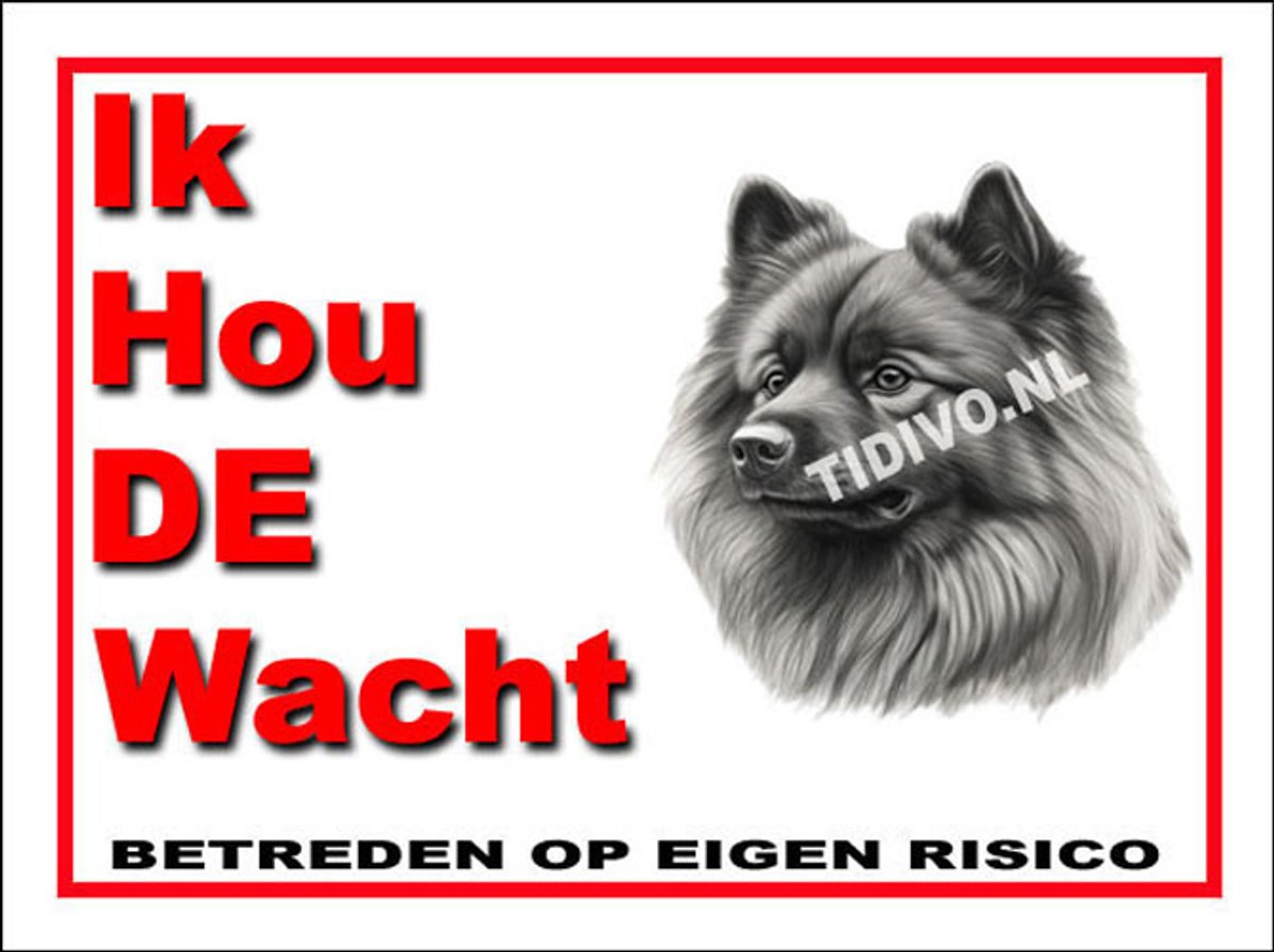 Keeshond 7