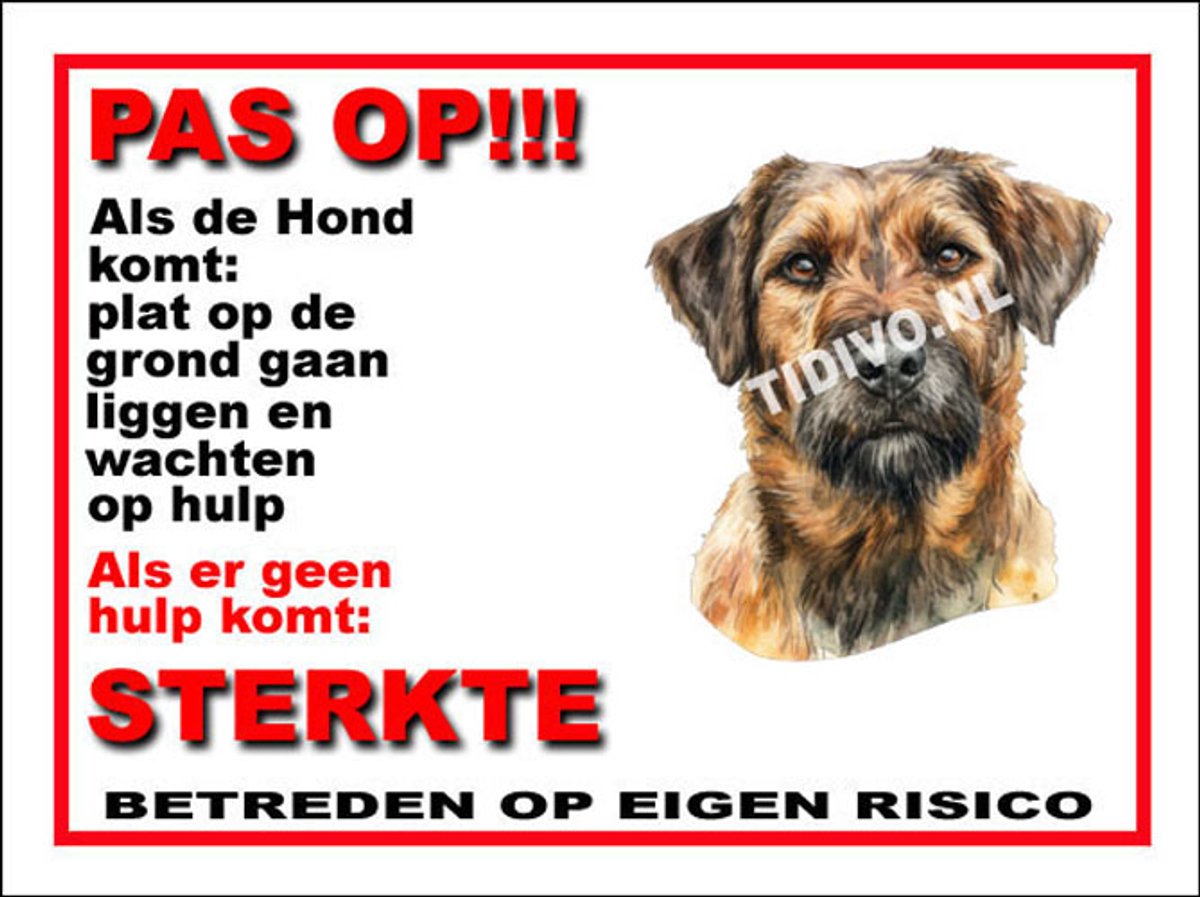 Kromfohrländer 12