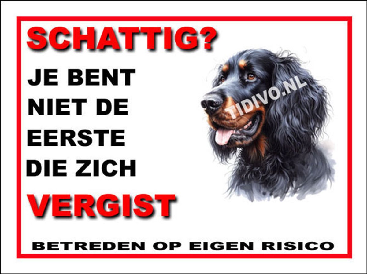 Gordon Setter 14