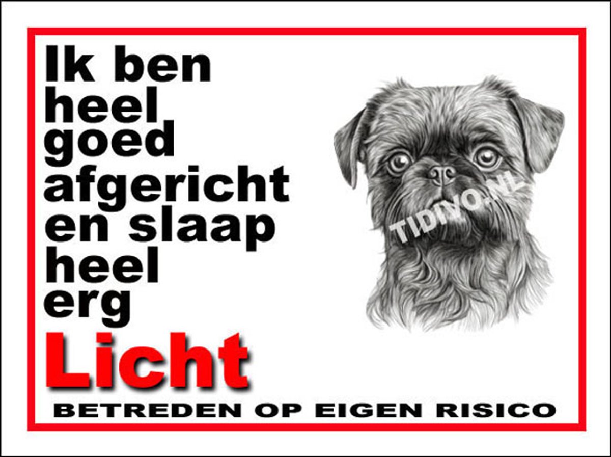 Griffon Brusselse 4
