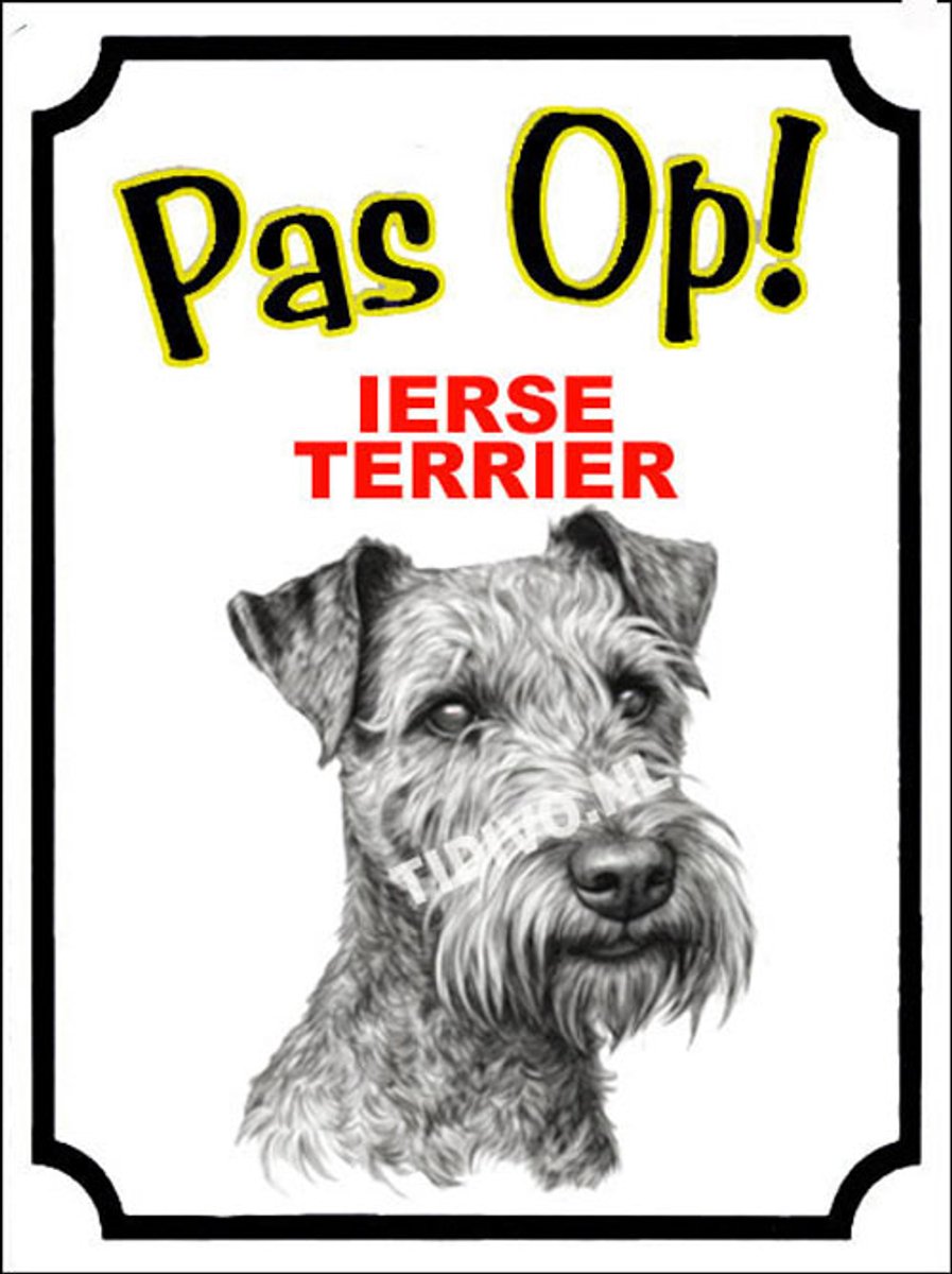 Ierse Terrier 16