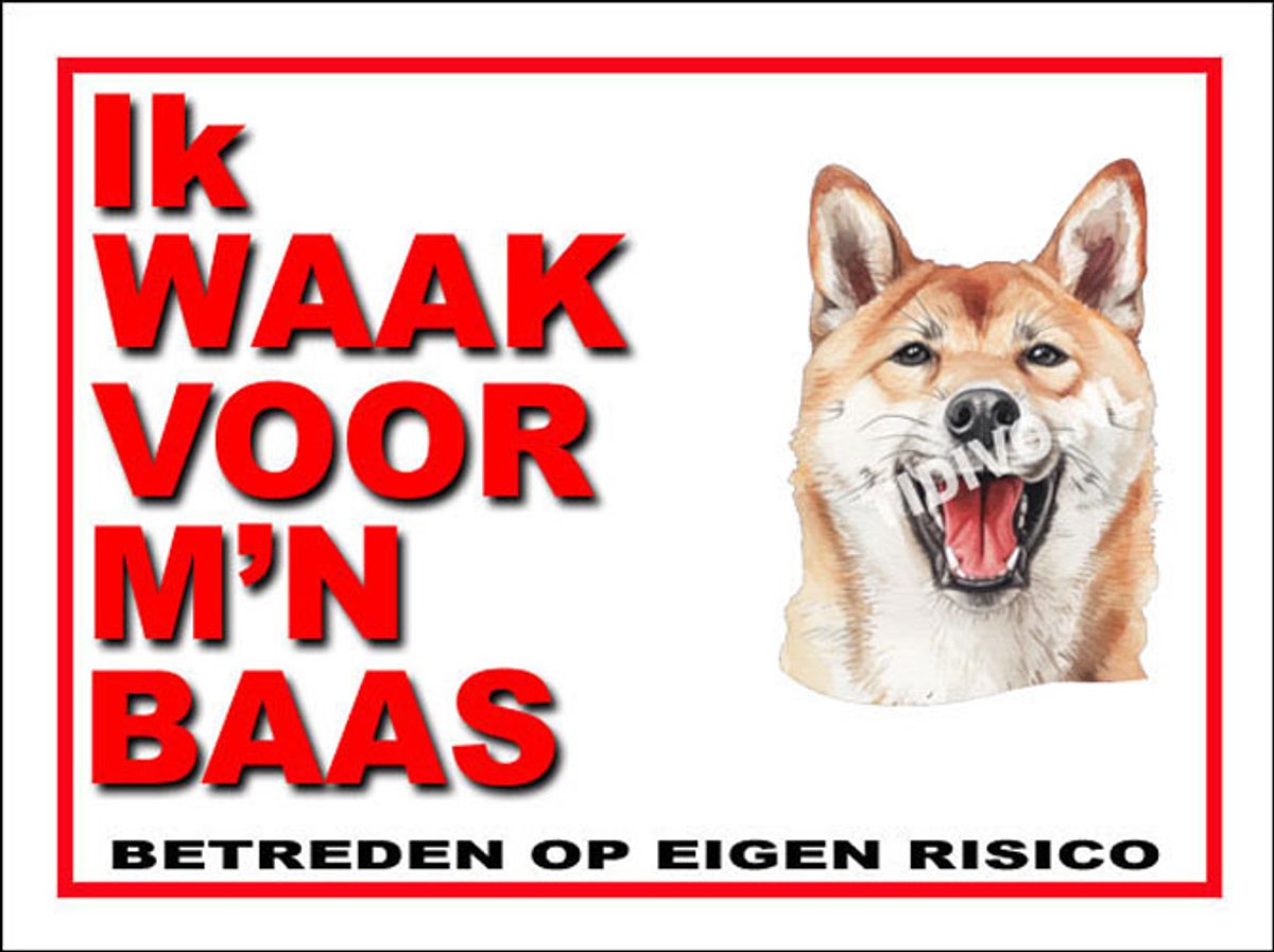 Kishu 9